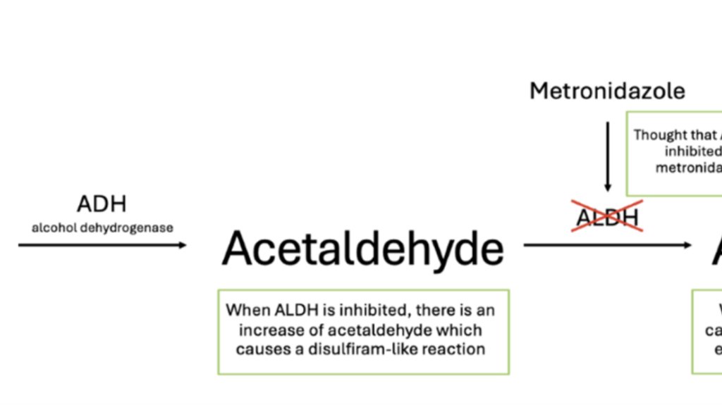 metronidazole metabolism