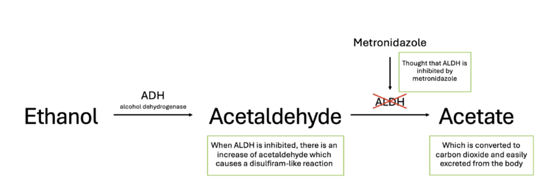 metronidazole metabolism